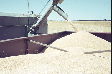 Slide - Mouat Crawford Collection: Farming Life in the Wimmera, c1960s