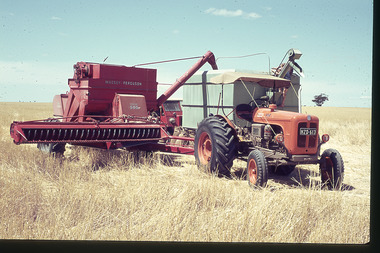 Slide - Mouat Crawford Collection: Farming Life in the Wimmera
