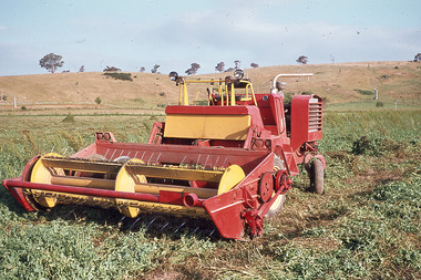 Slide - Mouat Crawford Collection: Farming Life in the Wimmera, c1960s