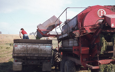 Slide - Mouat Crawford Collection: Farming Life in the Wimmera, c1960s