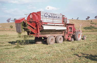 Slide - Mouat Crawford Collection: Farming Life in the Wimmera, c1960s