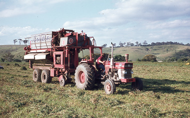Slide - Mouat Crawford Collection: Farming Life in the Wimmera, c1960s