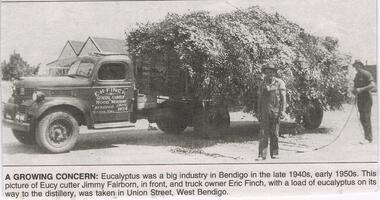 Newspaper - JENNY FOLEY COLLECTION: A GROWING CONCERN