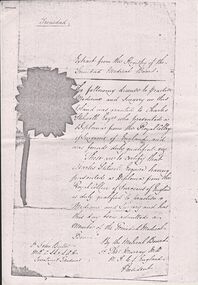 Document - STILWELL COLLECTION: EXTRACT FROM THE REGISTRY OF THE TRINIDAD MEDICAL BOARD