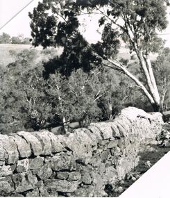 Photograph - 'MARYDALE' AXEDALE COLLECTION: PHOTOGRAPH STONE FENCE