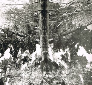 Photograph - 'MARYDALE' AXEDALE COLLECTION: PHOTOGRAPH VIEW OF SHED