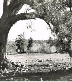 Photograph - 'MARYDALE' AXEDALE COLLECTION: PHOTOGRAPH VIEW OF PROPERTY
