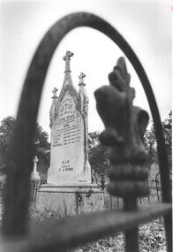 Photograph - BENDIGO ADVERTISER COLLECTION: GRAVESTONE AXEDALE CEMETERY RYAN FAMILY, 16/06/1993