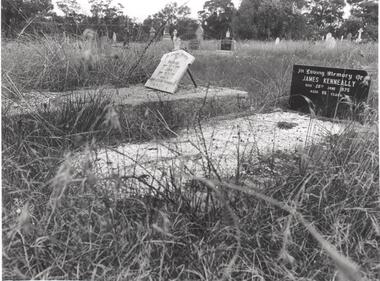 Photograph - BENDIGO ADVERTISER COLLECTION: GRAVESTONES IN AXEDALE CEMETERY, 16/06/1993