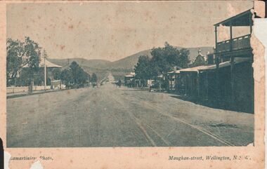 Postcard - ELMA WINSLADE WELLS COLLECTION: MANGHAN STREET WELLINGTON NSW