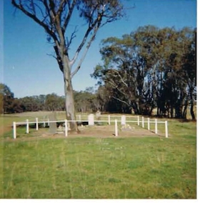 Photograph - HARRY BIGGS COLLECTION: PHOTO OF BOORT CEMETERY