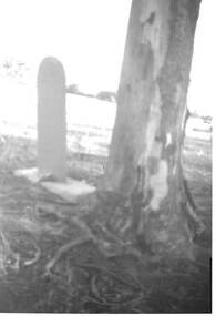 Photograph - HARRY BIGGS COLLECTION: BOORT CEMETERY