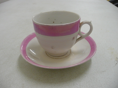 Domestic Object - CUP AND SAUCER
