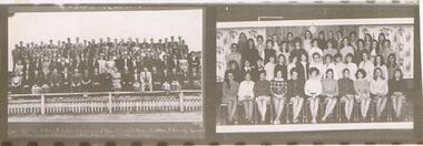 Photograph - LA TROBE UNIVERSITY BENDIGO COLLECTION: BENDIGO TEACHERS' COLLEGE PHOTOGRAPHIC PROOFS