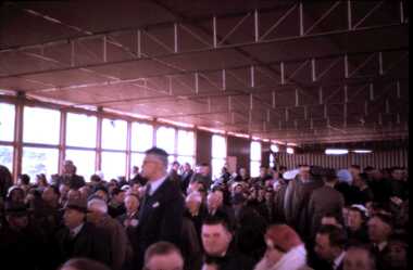 Slide - DAVID MCDONALD COLLECTION: EPPALOCK. CONSTRUCTION, c1960