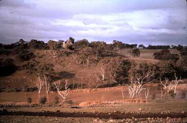 Slide - DAVID MCDONALD COLLECTION: EPPALOCK. CONSTRUCTION, c1960