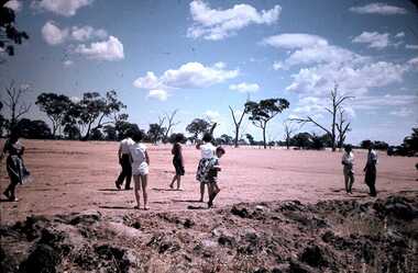 Slide - DAVID MCDONALD COLLECTION: EPPALOCK CONSTRUCTION, c1961