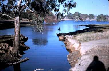 Slide - DAVID MCDONALD COLLECTION: EPPALOCK. CONSTRUCTION, c1963