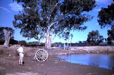 Slide - DAVID MCDONALD COLLECTION: EPPALOCK. CONSTRUCTION, c1963