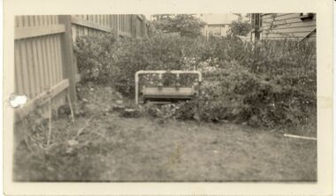 Photograph - BILL ASHMAN COLLECTION: SCALEBUOY PHOTOGRAPH
