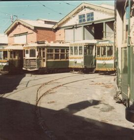 Photograph - GREATER BENDIGO PHOTO COLLECTION: TRAM