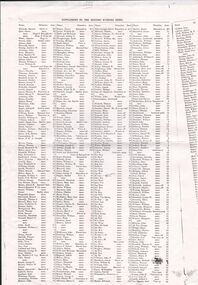 Document - CONSTABLE RYAN COLLECTION: LIST OF RESIDENTS OF BENDIGO 1885