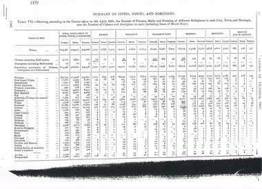 Document - LONG GULLY HISTORY GROUP COLLECTION: BIRTHPLACES OF THE PEOPLE - BENDIGO - EAGLEHAWK
