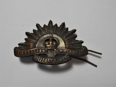 Accessory - BADGE COLLECTION: MILITARY FORCES BADGE, 1904-1949