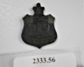Medal - QC BINKS COLLECTION: COMMONWEALTH CELEBRATION MEDAL