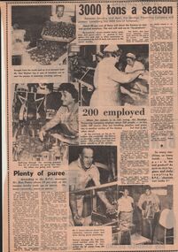 Newspaper - LYDIA CHANCELLOR COLLECTION: BENDIGO PRESERVING COMPANY