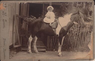 Photograph - LYDIA CHANCELLOR COLLECTION; A CHILD ON A PONY