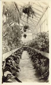 Photograph - LENZ COLLECTION: CONSERVATORY INTERIOR