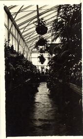 Photograph - LENZ COLLECTION: CONSERVATORY INTERIOR