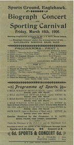Document - HAMILTON COLLECTION: CONCERT PROGRAM, 1906