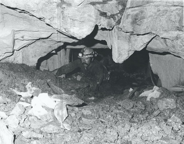 Photograph - AUSTIN COLLECTION: MINER AT COALFACE