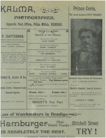Document - HAMILTON COLLECTION: THEATRE FLYER, Early 1900s