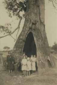 Photograph - HARGREAVES FAMILY NEAR 'BURKE AND WILLS TREE' MANDURANG ROAD, BENDIGO