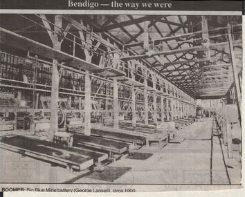 Newspaper - JENNY FOLEY COLLECTION: BOOMER