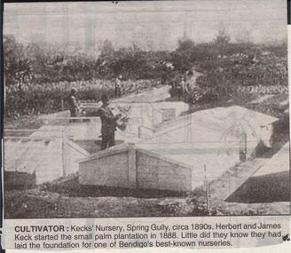Newspaper - JENNY FOLEY COLLECTION: CULTIVATOR