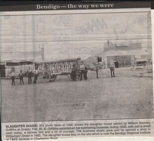 Newspaper - JENNY FOLEY COLLECTION: SLAUGHTER HOUSE