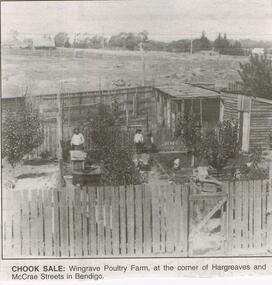 Newspaper - JENNY FOLEY COLLECTION: CHOOK SALE