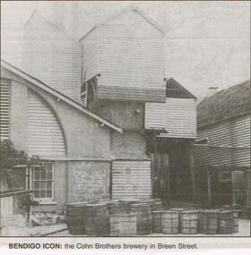 Newspaper - JENNY FOLEY COLLECTION: BENDIGO ICON