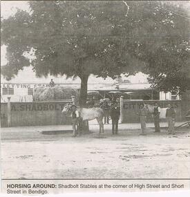 Newspaper - JENNY FOLEY COLLECTION: HORSING AROUND
