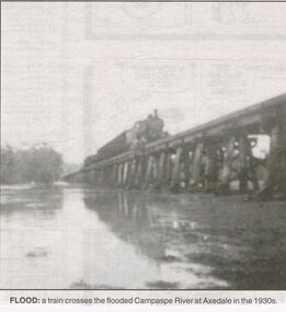 Newspaper - JENNY FOLEY COLLECTION: FLOOD