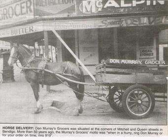 Newspaper - JENNY FOLEY COLLECTION: HORSE DELIVERY