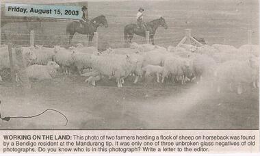 Newspaper - JENNY FOLEY COLLECTION: WORKING ON THE LAND