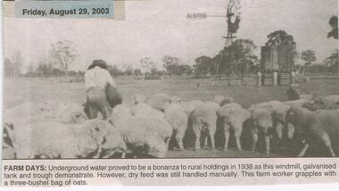 Newspaper - JENNY FOLEY COLLECTION: FARM DAYS