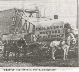 Newspaper - JENNY FOLEY COLLECTION: FINE DROP