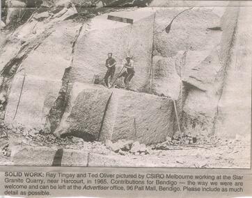 Newspaper - JENNY FOLEY COLLECTION: SOLID WORK
