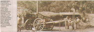 Newspaper - JENNY FOLEY COLLECTION: MAKING HAY